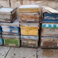 کندو با قاب + دستگاه استراکتور + خرک مخزن دار