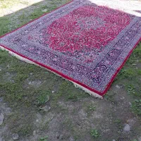 فرش|فرش|رشت, حومه رشت|دیوار
