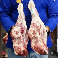 قصاب ماهر .مرغ کار ماهر