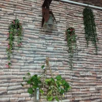 چراغ دیواری|لوستر و چراغ آویز|قم, پردیسان|دیوار