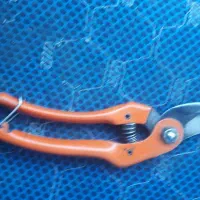 قیچی باغبانی|ابزارآلات|میاندوآب, |دیوار