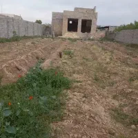 زمین-باغی