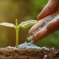 گل و گیاهت حالش خوب نیست بیا بهت بگم