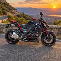 z1000 2016 اصلی، سند سوشیان