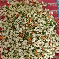 انواع ترشی پذیرفته میشود