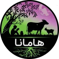کارگر انبار (اقا)