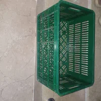 سبد میوه