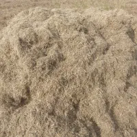 20کپه کاه کمبان ماش