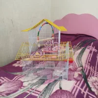 قفس پرنده