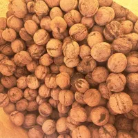 گردو درجه یک تویسرکان و دماوند