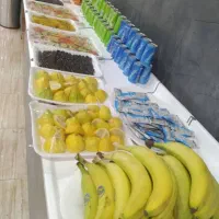 کربلا معلی ۱آبان ایام فاطمیه