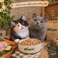 غذای خانگی پت|لوازم جانبی حیوانات|تهران, گرگان|دیوار