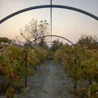 خدمات جوشکاری تزئیناتی و تعمیرات شفیعی