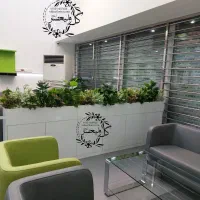 تزئینات بوته ایی وگیاه سبز برای داخل فلاور باکس|گل مصنوعی|تهران, بازار|دیوار