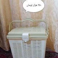 قوری و سبد مسافرتی و شیرینی خوری و کوزه و غیره|ظروف سرو و پذیرایی|سمنان, |دیوار