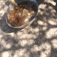 عسل طبیعی وحشی