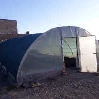 لوازم سالن گلخانه در حد نو ابعاد ۶*۱۲|فروش دفتر صنعتی، کشاورزی، تجاری|کاشمر, |دیوار