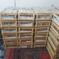 فروش عمده و خرده عسل خلخال