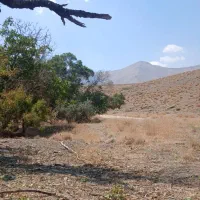 فروش مزرعه