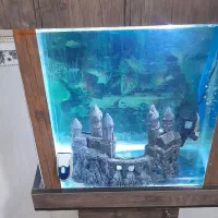 پاک کننده شیشه اکواریوم مغناطیسی با اکواریوم