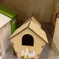 عروس هلندی،مرغ عشق،طوطی،انواع پرندگان زینتی|لوازم جانبی حیوانات|رباط‌کریم, رباط‌کریم|دیوار