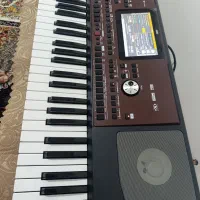 گرگ pa700 اورینتال|پیانو، کیبورد، آکاردئون|سقز, |دیوار