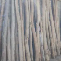 خرید چوب تر و خشک