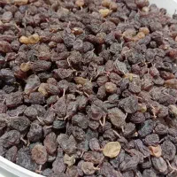 کشمش آفتابی