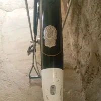 دوچرخه فونیکس 28