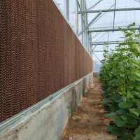 فروش ۱ هکتار زمین کشاورزی همراه با گلخانه|فروش دفتر صنعتی، کشاورزی، تجاری|شوشتر, |دیوار