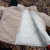 کاپشن|لباس|کامیاران, |دیوار