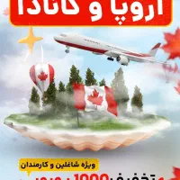 طراحی پوستر تبلیغاتی و بنر سایت|خدمات رایانه‌ای و موبایل|تهران, تهرانپارس غربی|دیوار