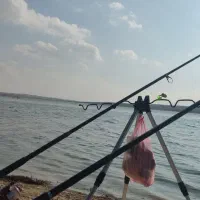 فروش دو عدد چوب و چرخ ماهیگیری