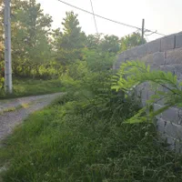 ۵۰۰مترزمین مسکونی/برای ساخت ویلا/اشمان کماچال|فروش زمین و ملک کلنگی|آستانه اشرفیه, |دیوار