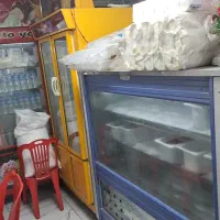 یخچال فریزر صنعتی