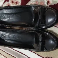 کفش مجلسی