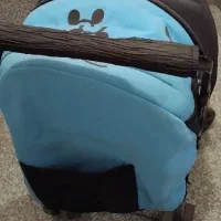 کالاسکه|کالسکه و لوازم جانبی|وحیدیه, |دیوار