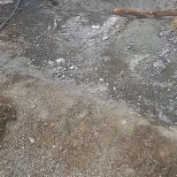 ده هکتارزمین برای اجاره|فروش دفتر صنعتی، کشاورزی، تجاری|فاریاب, |دیوار