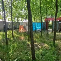 فروش زمین وبنا شالیزار هکتاری سنتی چسبیده|فروش زمین و ملک کلنگی|لاهیجان, لیالستان|دیوار