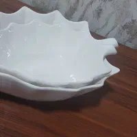 ظرف سرامیکی