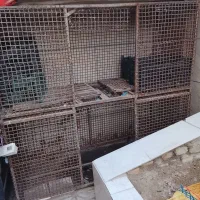 قفس پرنده
