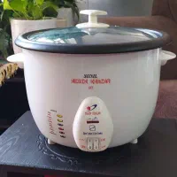 پلوپز برقی
