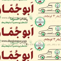 ویزیتور حرفه ای خانم
