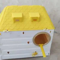 لانه ای عروس هلندی فقط 600