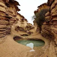 تور قشم هوایی بدون پیش پرداخت|تور و چارتر|مشهد, صیاد شیرازی|دیوار