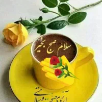 پرستار سالمند
