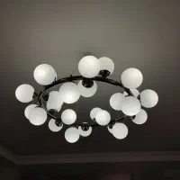 لوستر مولکولی25شاخه