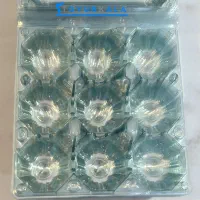 تخم مرغ محلی وبلدرچین|خوردنی و آشامیدنی|مشهد, عامل|دیوار