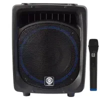 اکو همراه 12 اینچ بامیکروفون 022 زیکو ZICO 12400
