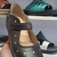 کفش ساانی
